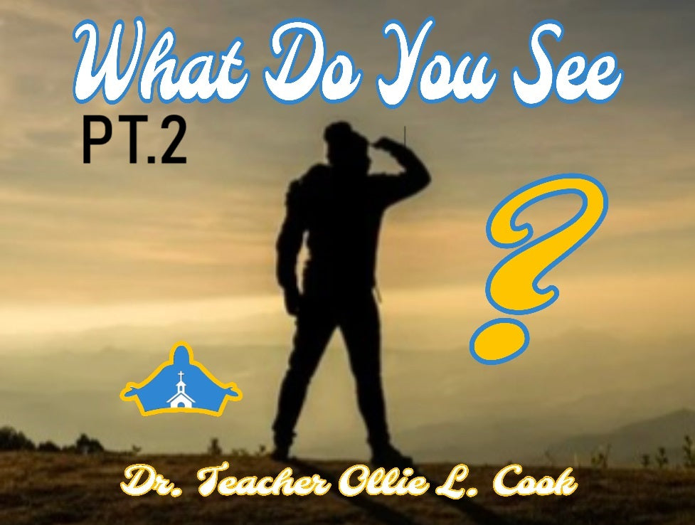 What Do You See? Pt. 2